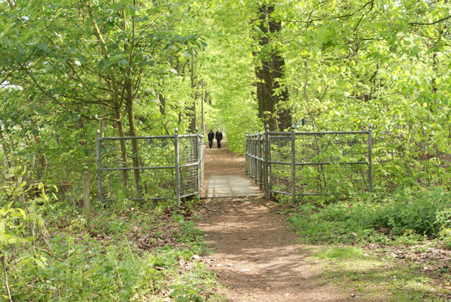 Bruggetje over Zwarte Beek op de weg van Hees naar Kasteel Lobos