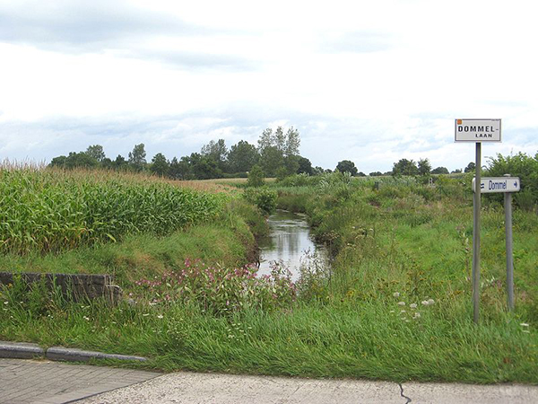 De Dommel is een beek en verderop een bijriviertje van de Maas. In Overpelt is ze prominent aanwezig en levert fraaie plaatjes op, zoals hier.