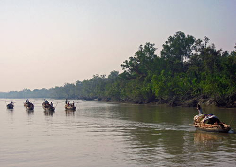 Sundarbans