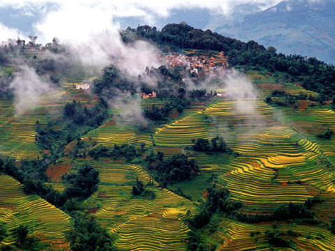 Cultuurlandschap van rijstterrassen van de Hani in Honghe