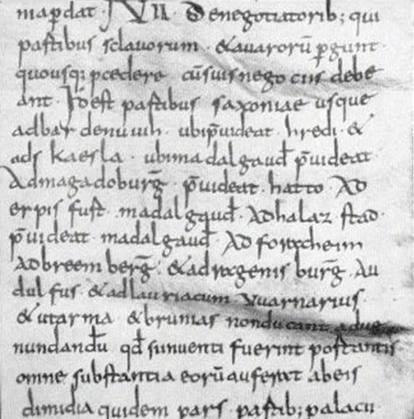 Fragment uit het beroemde Divisio regnorum, het politieke testament van Karel de Grote opgesteld in 806 te Diedenhof (het huidige Thionville in Frankrijk, regio Metz-Nancy).