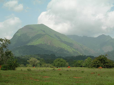 Mount Nimba