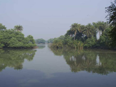 Nationaal Park Keoladeo