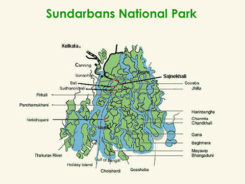Nationaal Park Sundarbans