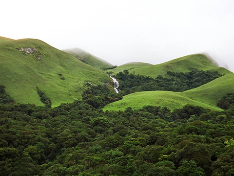 West-Ghats