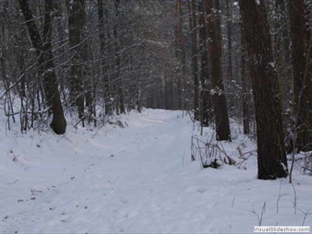 Winterwandeling - Foto 24