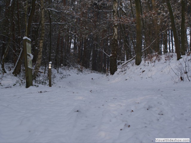 Winterwandeling - Foto 25