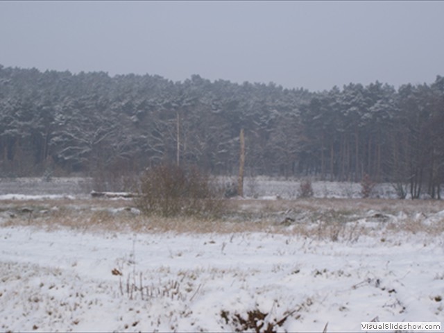 Winterwandeling - Foto 34