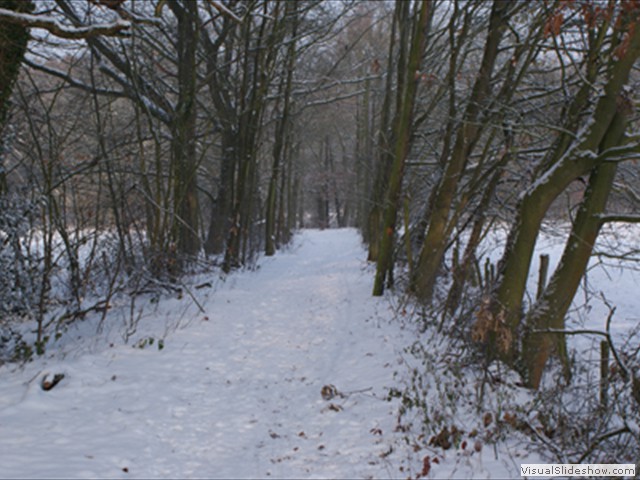 Winterwandeling - Foto 4