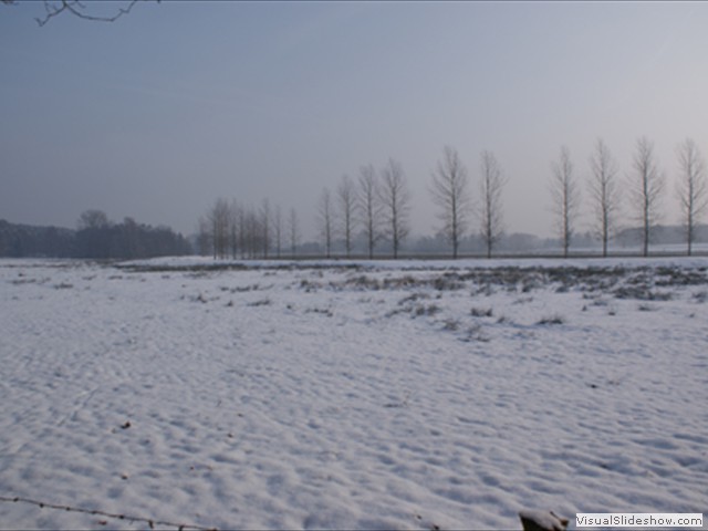 Winterwandeling - Foto 6