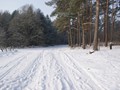 Winterwandeling - Foto 11