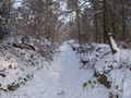 Winterwandeling - Foto 13