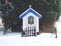 Winterwandeling - Foto 19