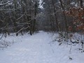 Winterwandeling - Foto 21