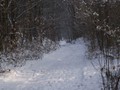 Winterwandeling - Foto 23
