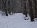Winterwandeling - Foto 24