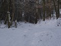 Winterwandeling - Foto 25