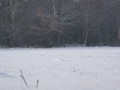 Winterwandeling - Foto 31