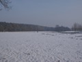 Winterwandeling - Foto 7