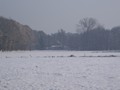 Winterwandeling - Foto 9