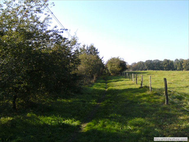 Zelem Herfstwandeling - Foto 14