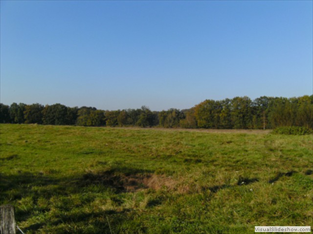 Zelem Herfstwandeling - Foto 15