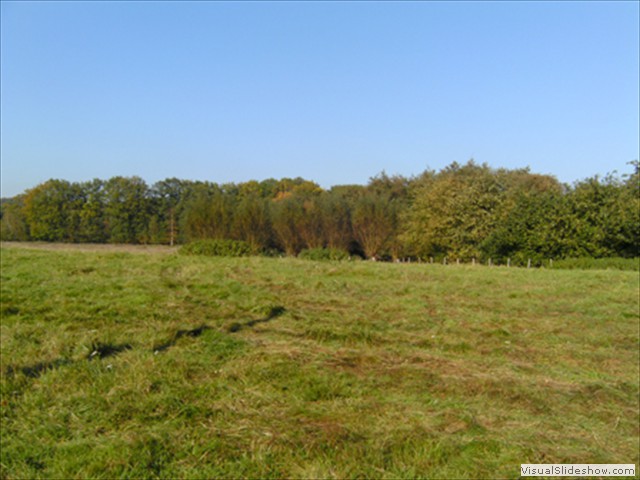 Zelem Herfstwandeling - Foto 16
