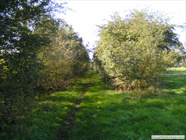 Zelem Herfstwandeling - Foto 17