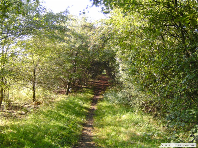 Zelem Herfstwandeling - Foto 18