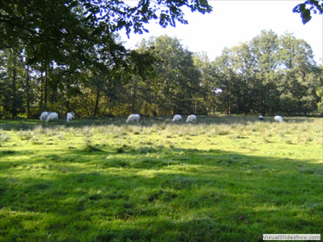 Zelem Herfstwandeling - Foto 21