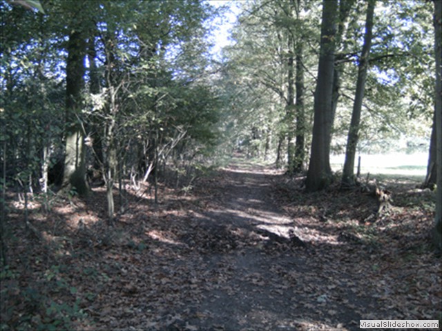 Zelem Herfstwandeling - Foto 24