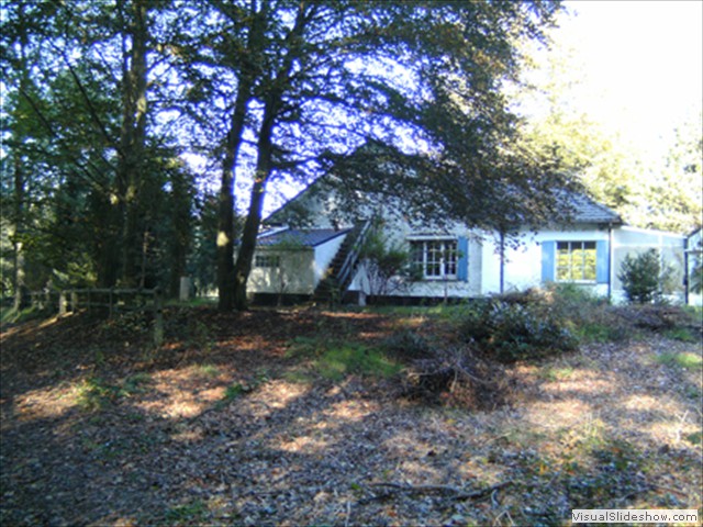 Zelem Herfstwandeling - Foto 26