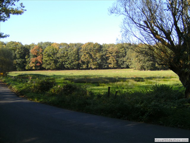 Zelem Herfstwandeling - Foto 27