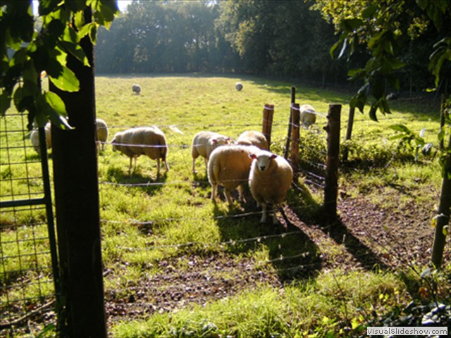 Zelem Herfstwandeling - Foto 28