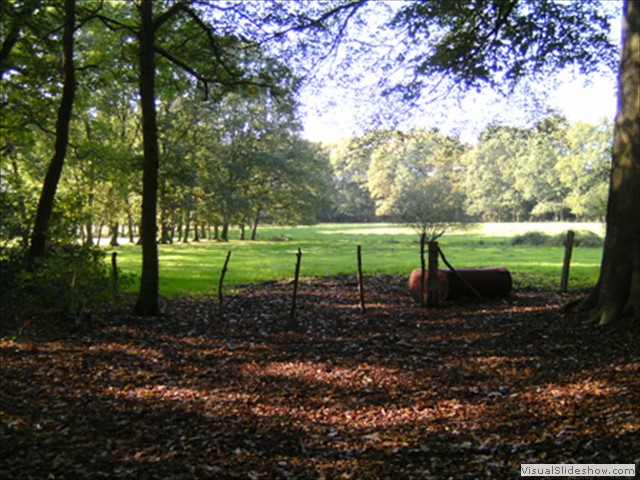 Zelem Herfstwandeling - Foto 33