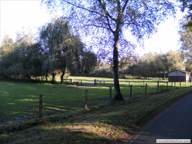 Zelem Herfstwandeling - Foto 38