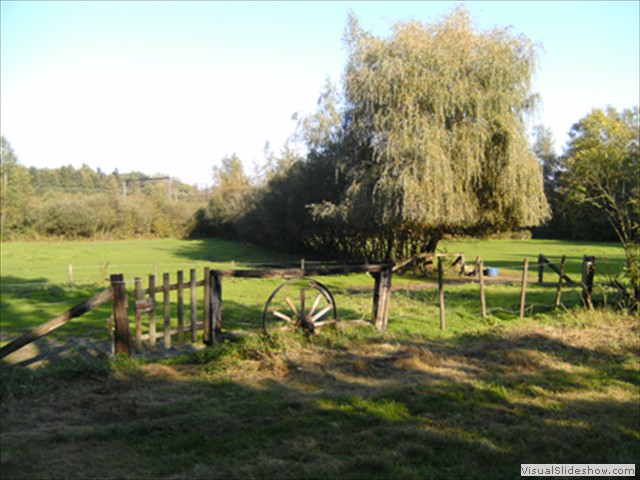 Zelem Herfstwandeling - Foto 39