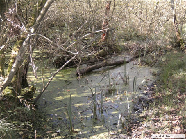 Zelem Herfstwandeling - Foto 8