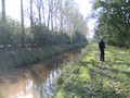 Zelem Herfstwandeling - Foto 10