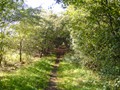 Zelem Herfstwandeling - Foto 18