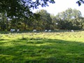 Zelem Herfstwandeling - Foto 21
