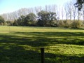Zelem Herfstwandeling - Foto 3