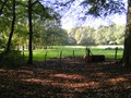 Zelem Herfstwandeling - Foto 33