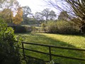 Zelem Herfstwandeling - Foto 35