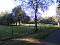 Zelem Herfstwandeling - Foto 38