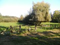 Zelem Herfstwandeling - Foto 39