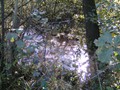 Zelem Herfstwandeling - Foto 5