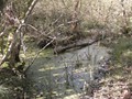 Zelem Herfstwandeling - Foto 8